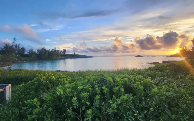 A photograph taken on a Marine Biology field trip. The photo features a lush waterfront area in front of a sunset.