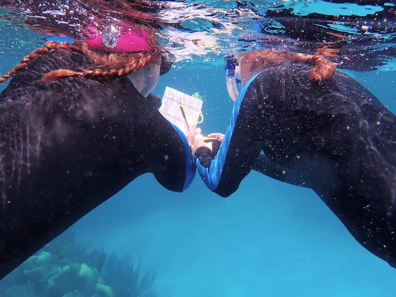 Photograph showing two VTVLC snorkeling and taking notes under water.